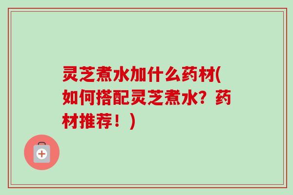 灵芝煮水加什么药材(如何搭配灵芝煮水？药材推荐！)