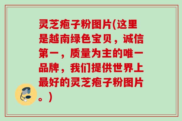 灵芝疱子粉图片(这里是越南绿色宝贝，诚信第一，质量为主的唯一品牌，我们提供世界上最好的灵芝疱子粉图片。)