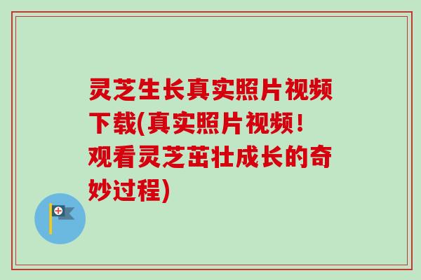 灵芝生长真实照片视频下载(真实照片视频！观看灵芝茁壮成长的奇妙过程)