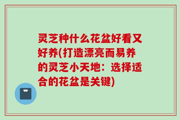 灵芝种什么花盆好看又好养(打造漂亮而易养的灵芝小天地：选择适合的花盆是关键)