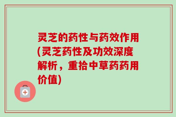 灵芝的药性与药效作用(灵芝药性及功效深度解析，重拾中草药药用价值)