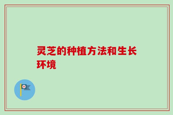 灵芝的种植方法和生长环境