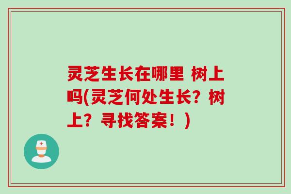 灵芝生长在哪里 树上吗(灵芝何处生长？树上？寻找答案！)