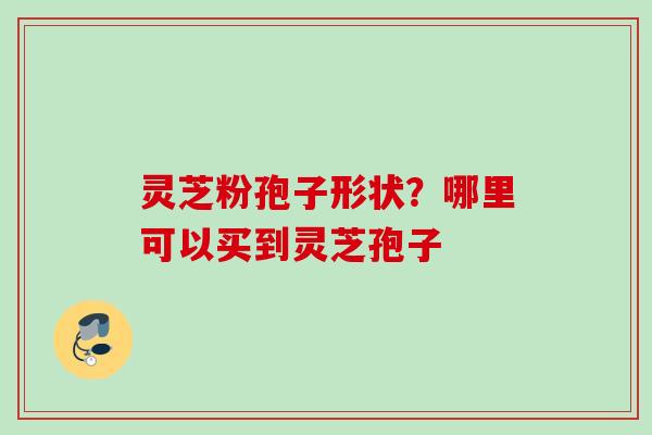 灵芝粉孢子形状？哪里可以买到灵芝孢子