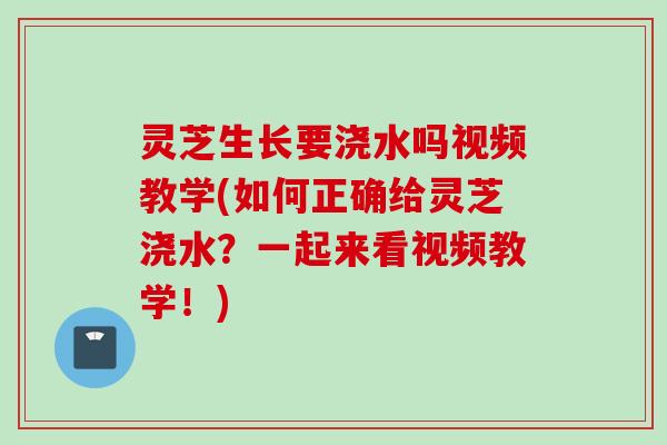 灵芝生长要浇水吗视频教学(如何正确给灵芝浇水？一起来看视频教学！)