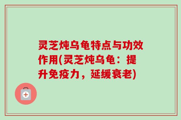 灵芝炖乌龟特点与功效作用(灵芝炖乌龟：提升免疫力，延缓衰老)
