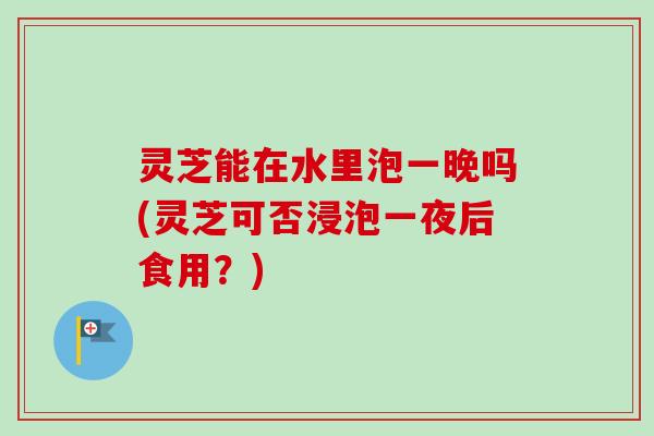 灵芝能在水里泡一晚吗(灵芝可否浸泡一夜后食用?) 灵芝能在水里泡一晚吗(灵芝可否浸泡一夜后食用?)