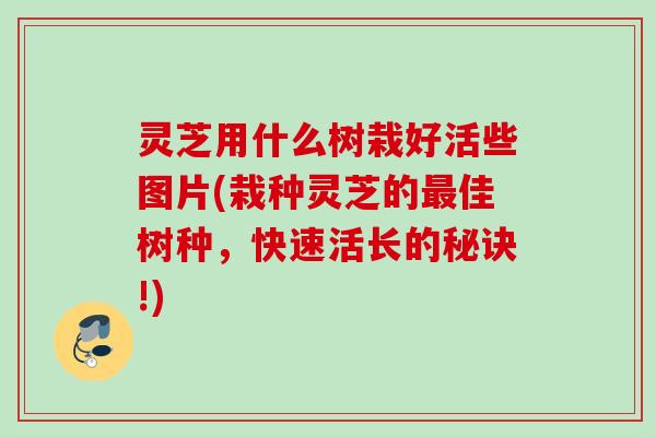 灵芝用什么树栽好活些图片(栽种灵芝的最佳树种，快速活长的秘诀!)