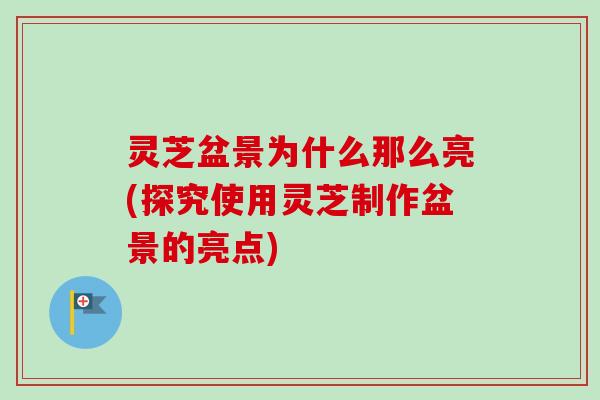 灵芝盆景为什么那么亮(探究使用灵芝制作盆景的亮点)