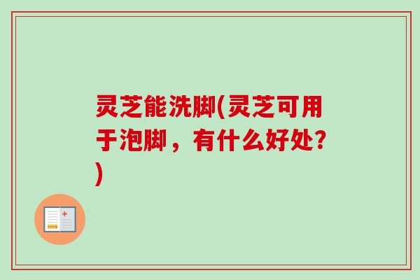 灵芝能洗脚(灵芝可用于泡脚，有什么好处？)