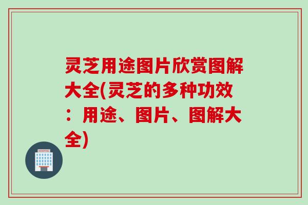 灵芝用途图片欣赏图解大全(灵芝的多种功效：用途、图片、图解大全)