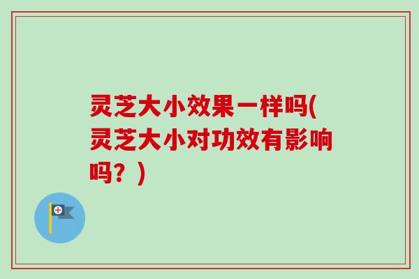 灵芝大小效果一样吗(灵芝大小对功效有影响吗？)