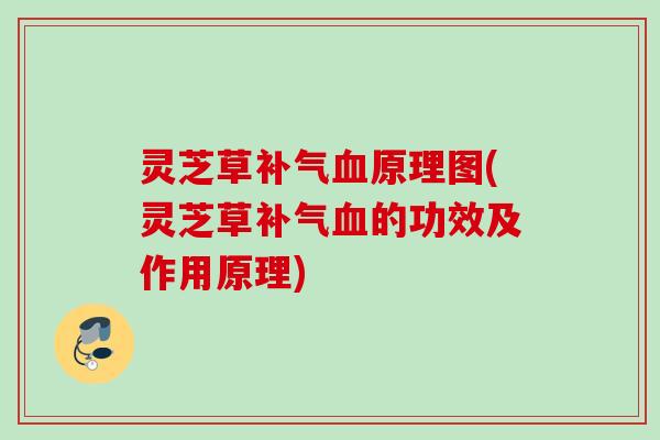 灵芝草补气血原理图(灵芝草补气血的功效及作用原理)