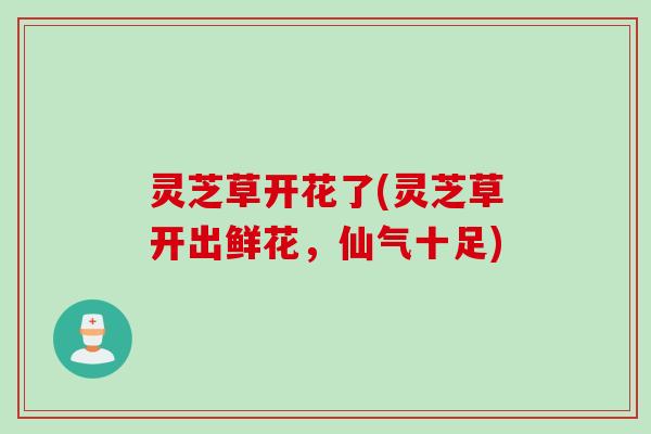 灵芝草开花了(灵芝草开出鲜花，仙气十足)