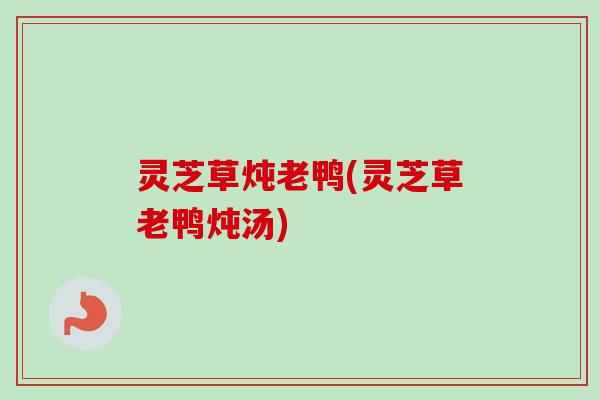 灵芝草炖老鸭(灵芝草老鸭炖汤)