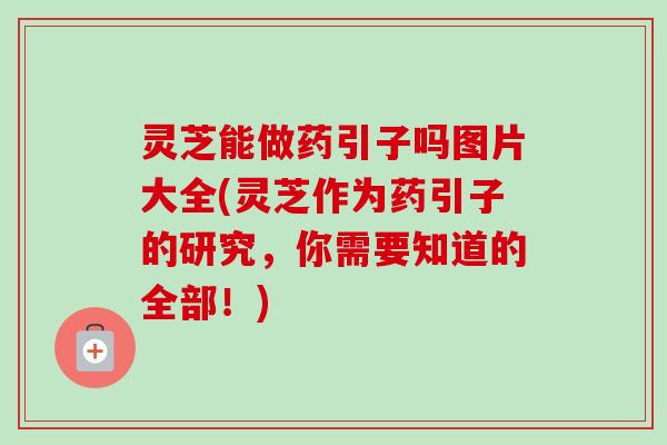 灵芝能做药引子吗图片大全(灵芝作为药引子的研究，你需要知道的全部！)