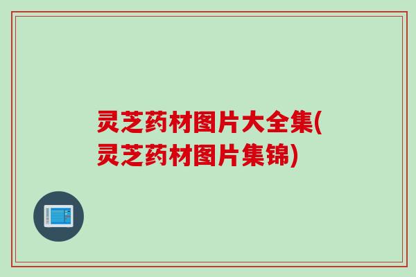 灵芝药材图片大全集(灵芝药材图片集锦)