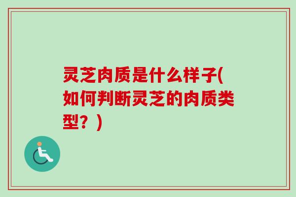 灵芝肉质是什么样子(如何判断灵芝的肉质类型？)