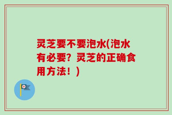 灵芝要不要泡水(泡水有必要？灵芝的正确食用方法！)