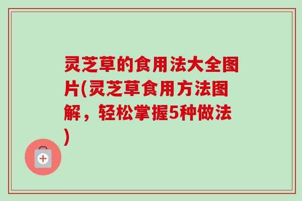 灵芝草的食用法大全图片(灵芝草食用方法图解，轻松掌握5种做法)