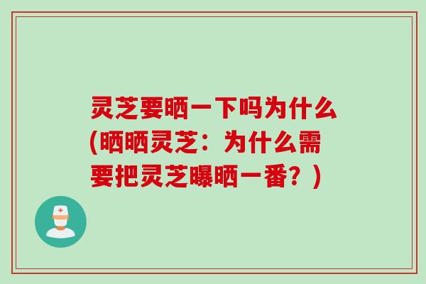 灵芝要晒一下吗为什么(晒晒灵芝：为什么需要把灵芝曝晒一番？)