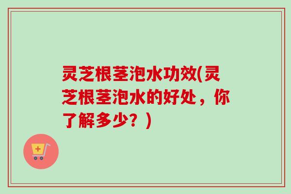 灵芝根茎泡水功效(灵芝根茎泡水的好处，你了解多少？)