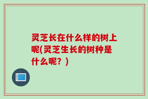 灵芝长在什么样的树上呢(灵芝生长的树种是什么呢？)