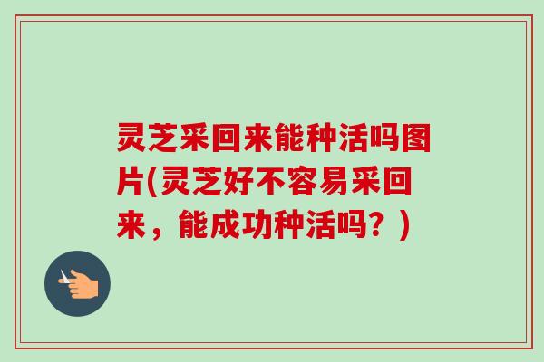 灵芝采回来能种活吗图片(灵芝好不容易采回来，能成功种活吗？)