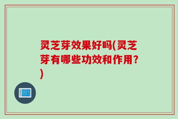 灵芝芽效果好吗(灵芝芽有哪些功效和作用？)