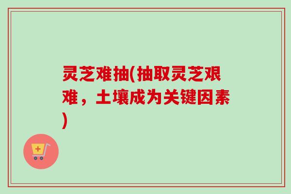 灵芝难抽(抽取灵芝艰难，土壤成为关键因素)