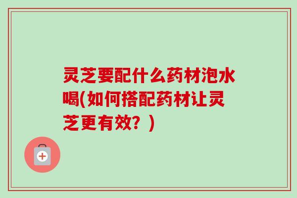 灵芝要配什么药材泡水喝(如何搭配药材让灵芝更有效？)