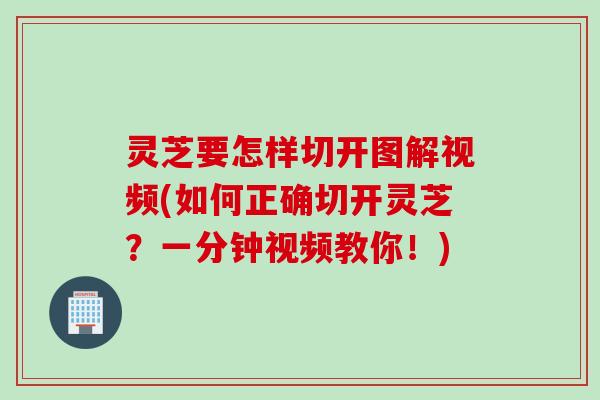 灵芝要怎样切开图解视频(如何正确切开灵芝？一分钟视频教你！)