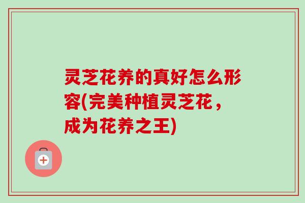 灵芝花养的真好怎么形容(完美种植灵芝花，成为花养之王)