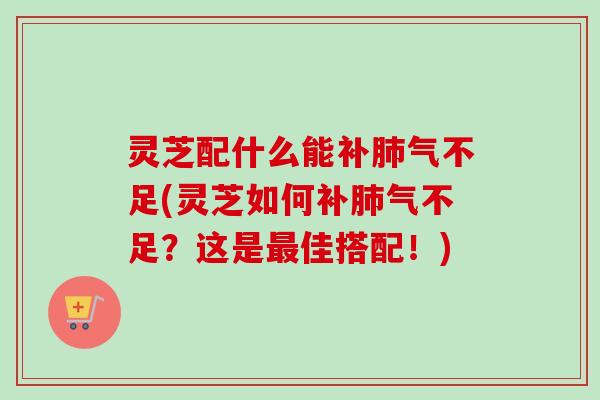 灵芝配什么能不足(灵芝如何不足？这是佳搭配！)
