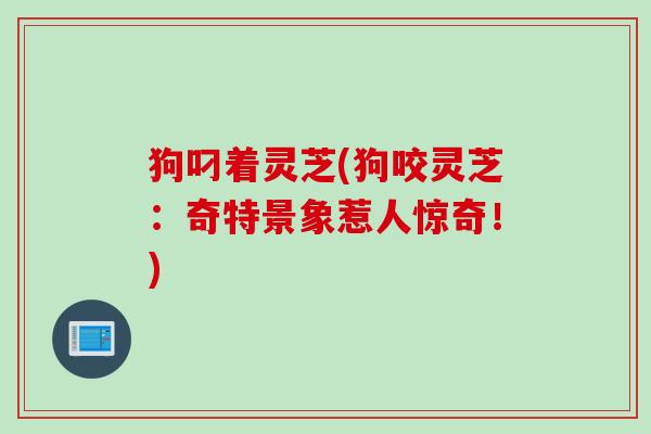 狗叼着灵芝(狗咬灵芝：奇特景象惹人惊奇！)