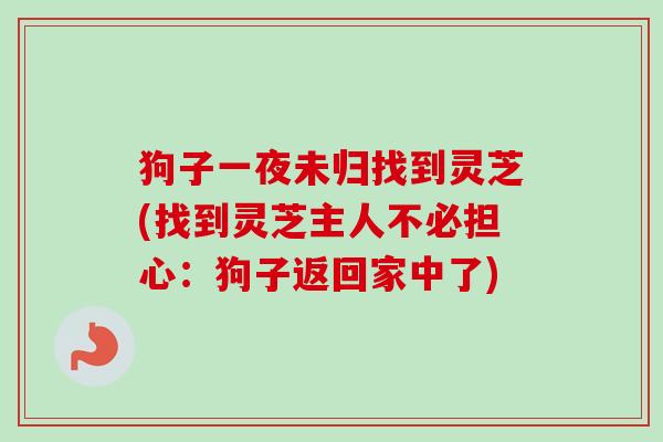 狗子一夜未归找到灵芝(找到灵芝主人不必担心：狗子返回家中了)