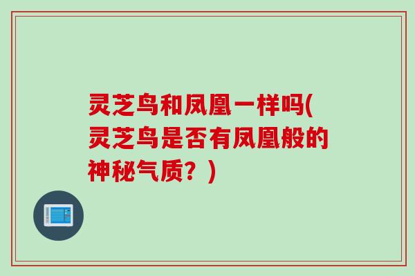 灵芝鸟和凤凰一样吗(灵芝鸟是否有凤凰般的神秘气质？)