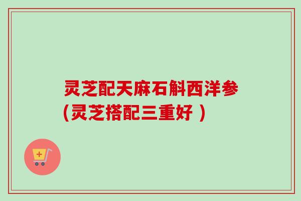 灵芝配天麻石斛西洋参(灵芝搭配三重好 )