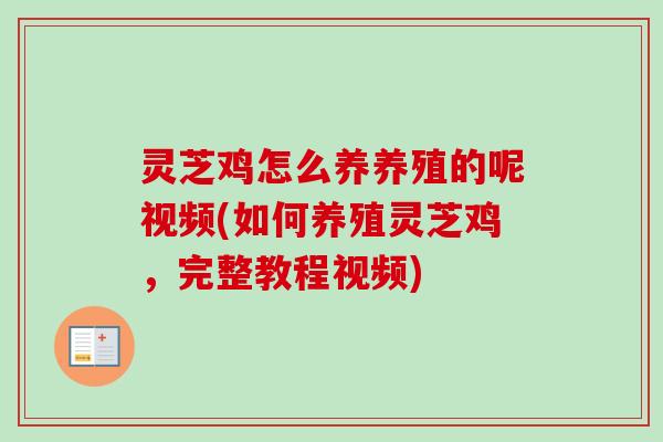 灵芝鸡怎么养养殖的呢视频(如何养殖灵芝鸡，完整教程视频)