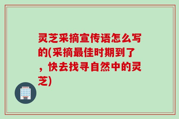 灵芝采摘宣传语怎么写的(采摘佳时期到了，快去找寻自然中的灵芝)