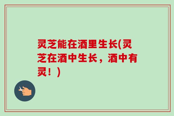灵芝能在酒里生长(灵芝在酒中生长，酒中有灵！)