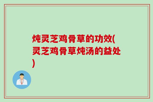 炖灵芝鸡骨草的功效(灵芝鸡骨草炖汤的益处)