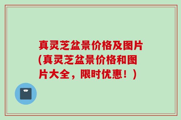 真灵芝盆景价格及图片(真灵芝盆景价格和图片大全，限时优惠！)