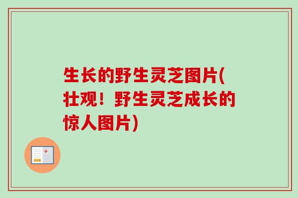 生长的野生灵芝图片(壮观！野生灵芝成长的惊人图片)