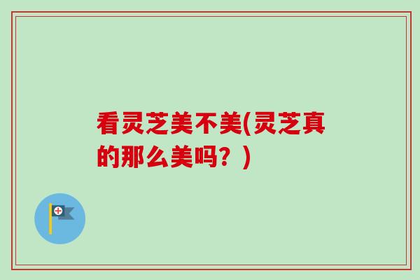 看灵芝美不美(灵芝真的那么美吗？)