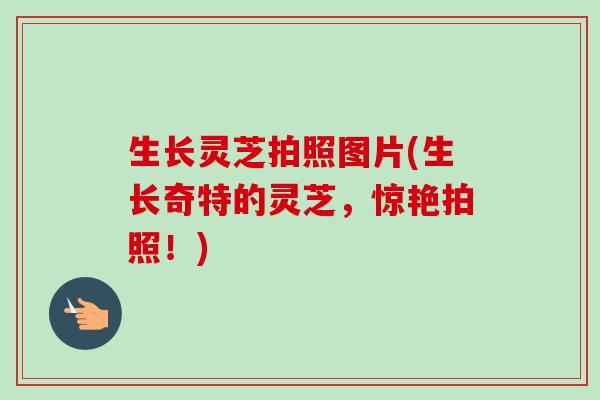 生长灵芝拍照图片(生长奇特的灵芝，惊艳拍照！)