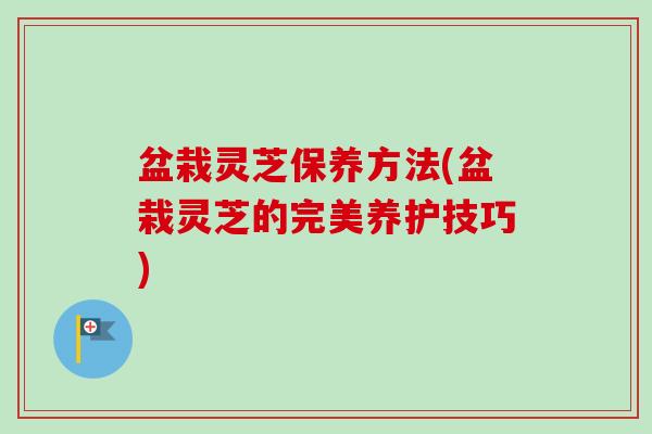 盆栽灵芝保养方法(盆栽灵芝的完美养护技巧)