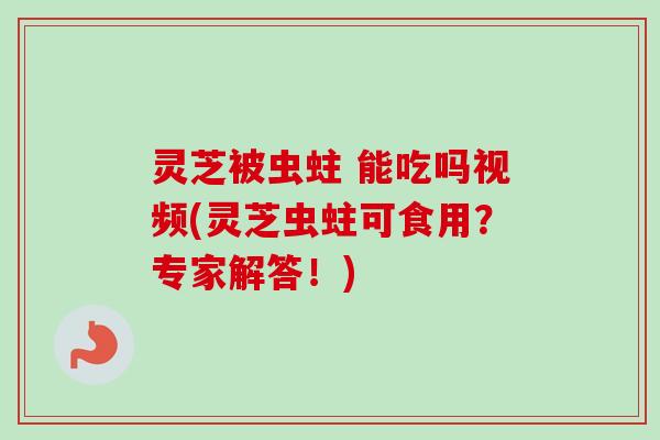 灵芝被虫蛀 能吃吗视频(灵芝虫蛀可食用？专家解答！)