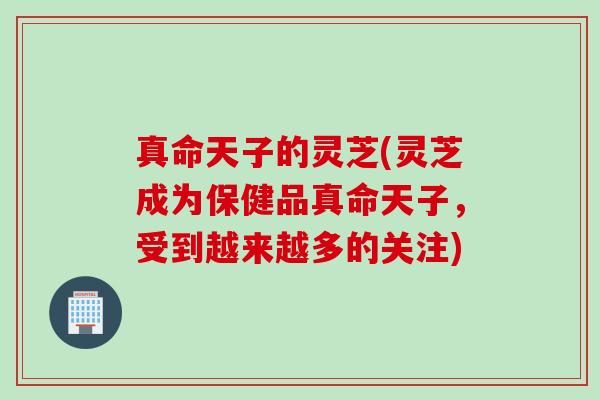 真命天子的灵芝(灵芝成为保健品真命天子，受到越来越多的关注)