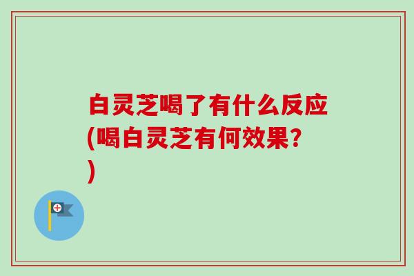白灵芝喝了有什么反应(喝白灵芝有何效果？)